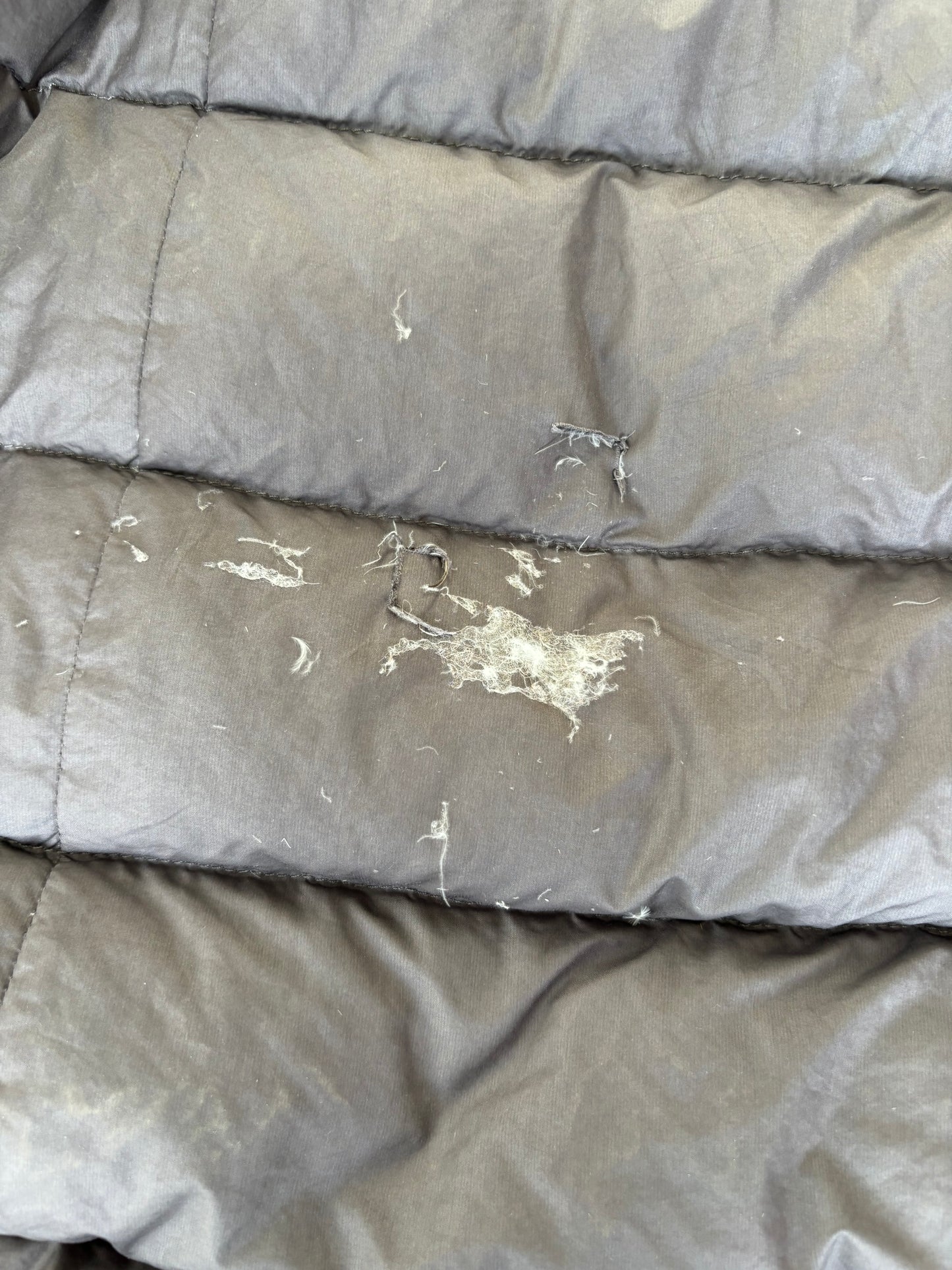 North face puffer jacket Trench Women’s Medium