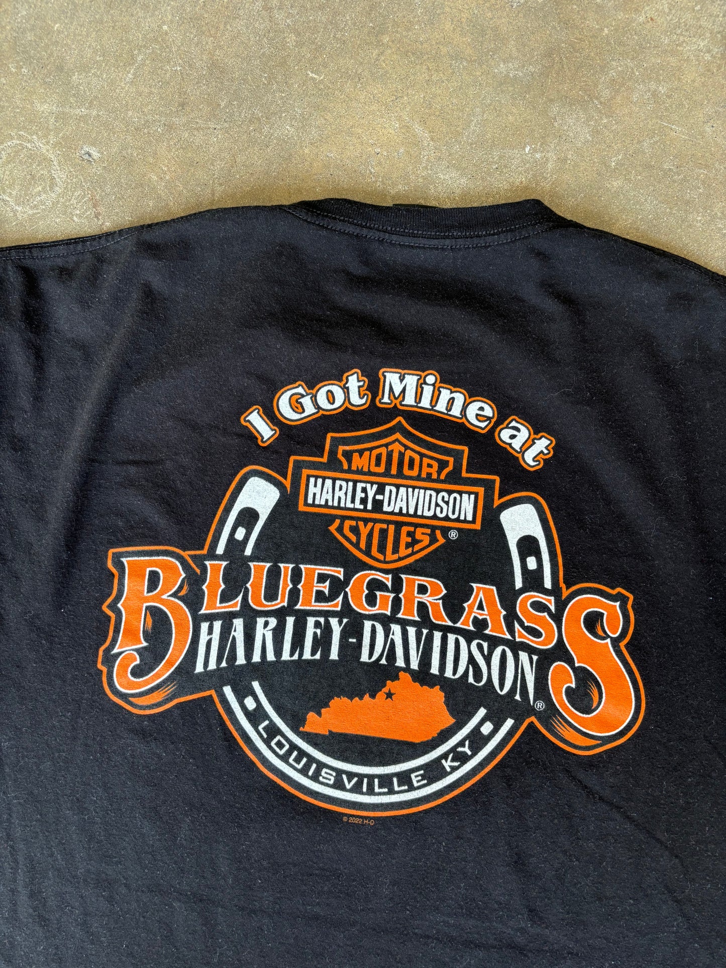 Harley Davidson Graphic Tee Large